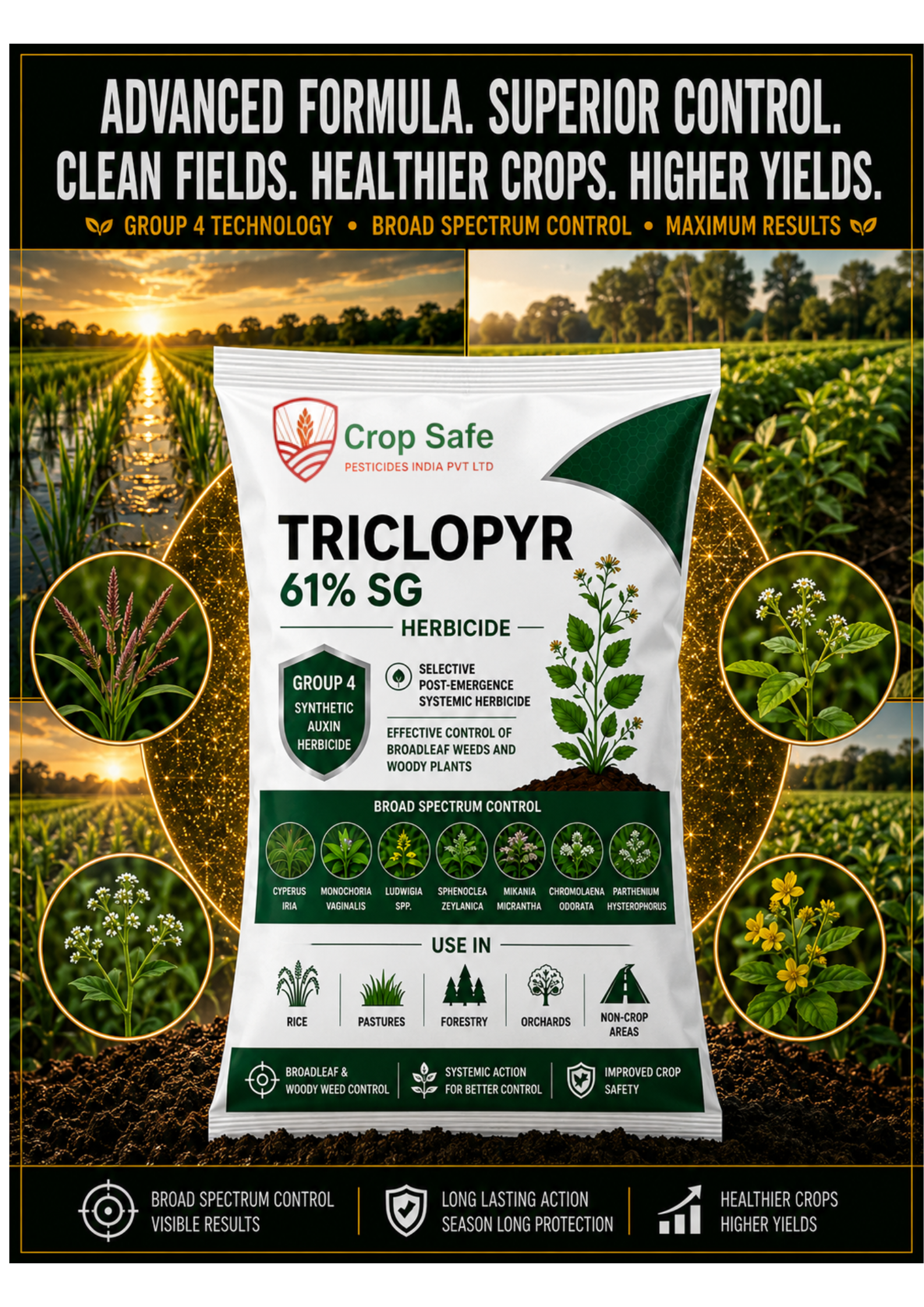 TRICLOPYR 61% SG