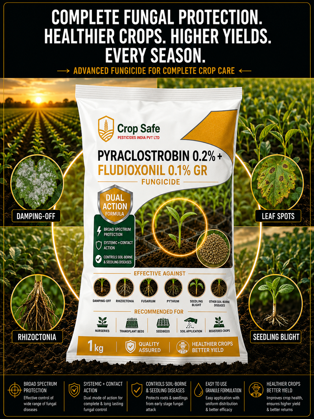 PYRACLOSTROBIN 0.2% + FLUDIOXONIL 0.1% GR