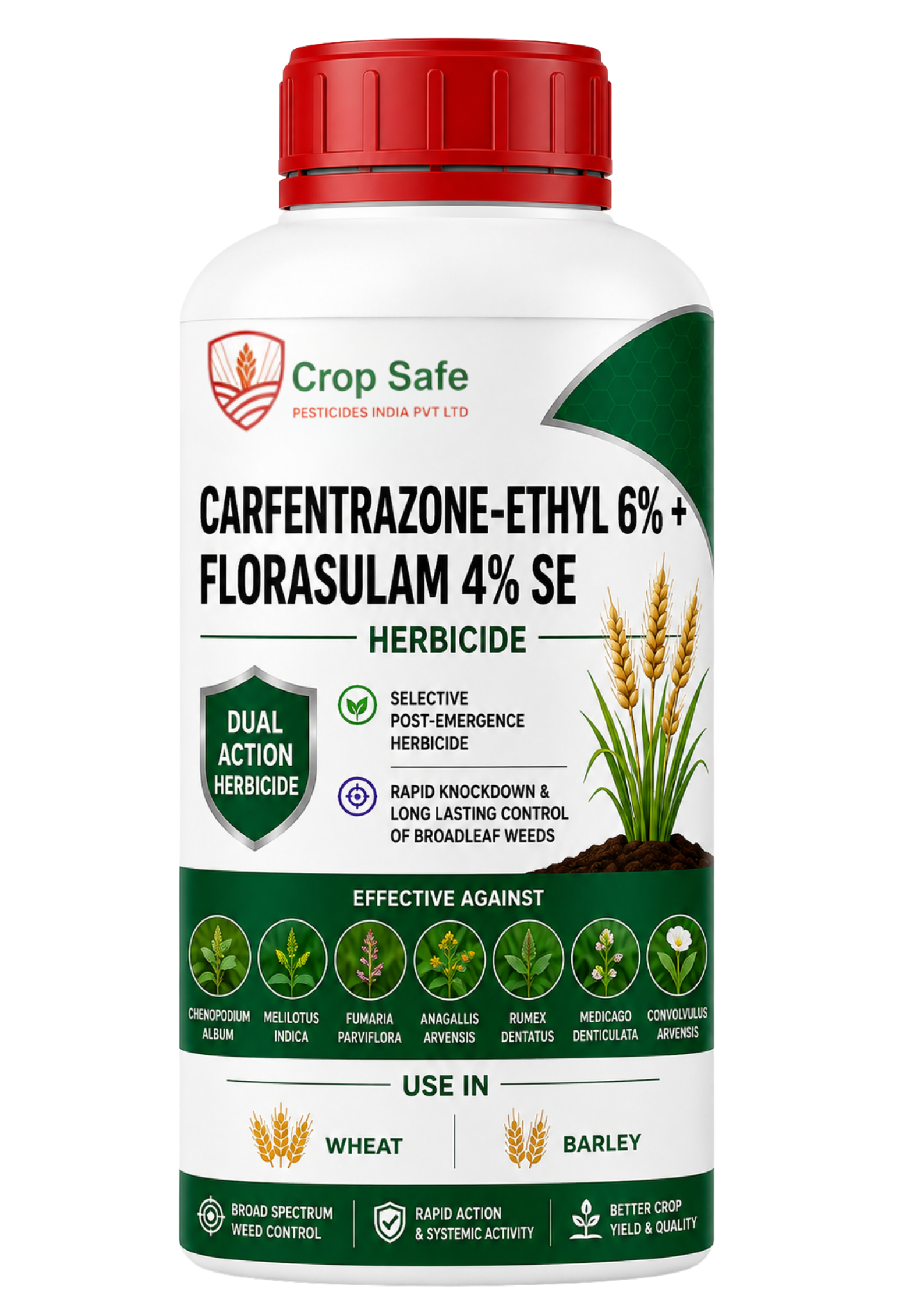 Carfentrazone-ethyl 6% + Florasulam 4% SE